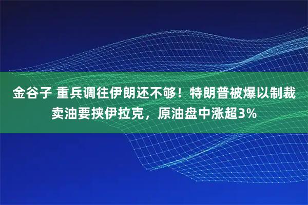 金谷子 重兵调往伊朗还不够！特朗普被爆以制裁卖油要挟伊拉克，原油盘中涨超3%