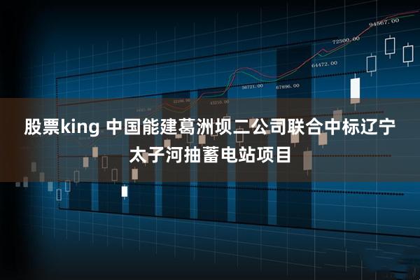 股票king 中国能建葛洲坝二公司联合中标辽宁太子河抽蓄电站项目