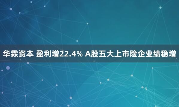华霖资本 盈利增22.4% A股五大上市险企业绩稳增