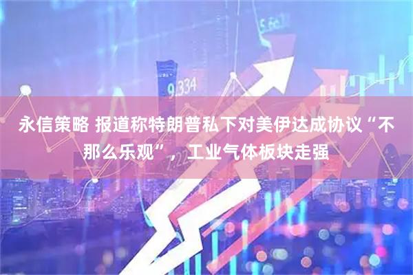 永信策略 报道称特朗普私下对美伊达成协议“不那么乐观”，工业气体板块走强