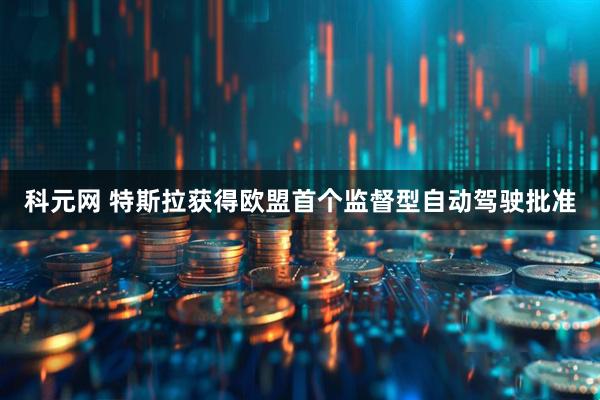科元网 特斯拉获得欧盟首个监督型自动驾驶批准